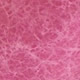 raspberry nuevo swatch
