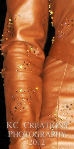 Close-up of Chenae's Antique Gold Dress