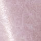pale pink golden nuevo print leather