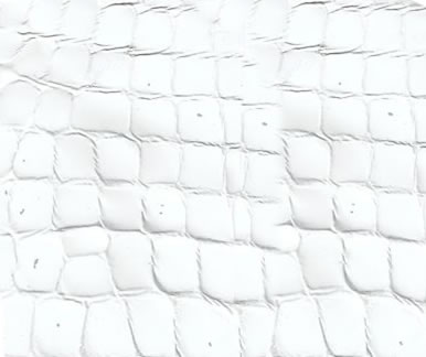white croc leather