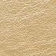 champagne metallic leather